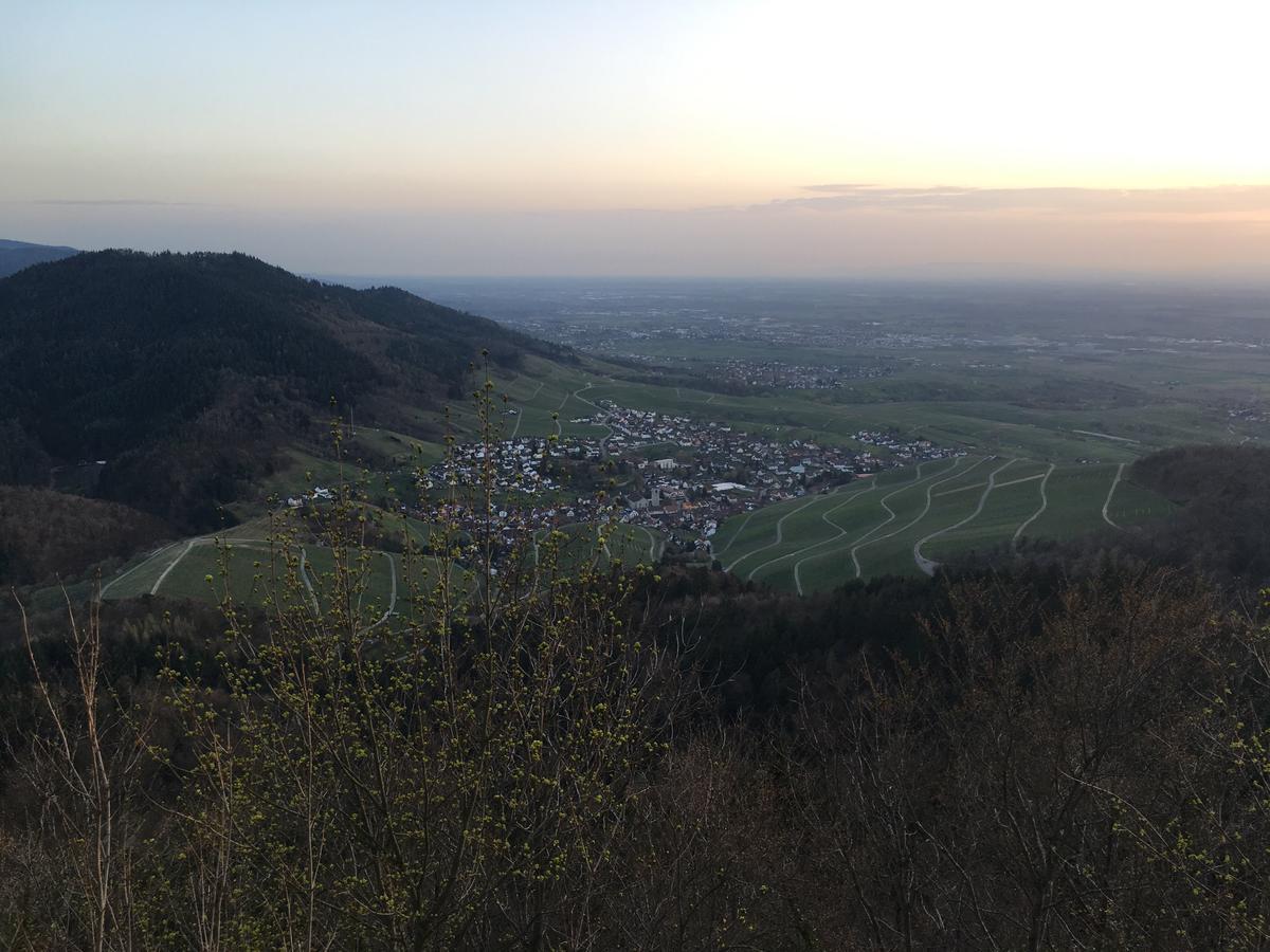 Hotel Roederhof Baden-Baden Exteriör bild